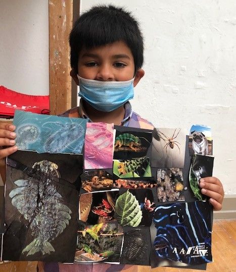 child showing his collage