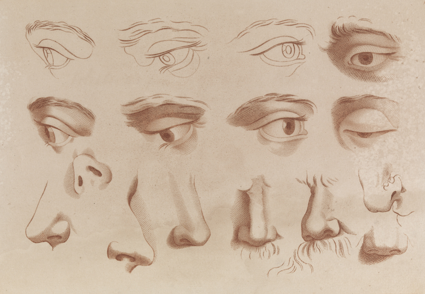 [Plate 1: Eyes and noses]