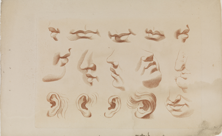 [Plate 2: Mouths and ears]