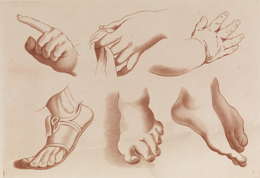 [Plate 5: Hands and feet]