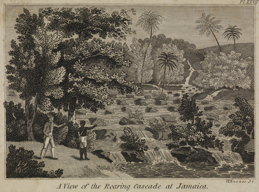 [A view of the roaring cascade at Jamaica]