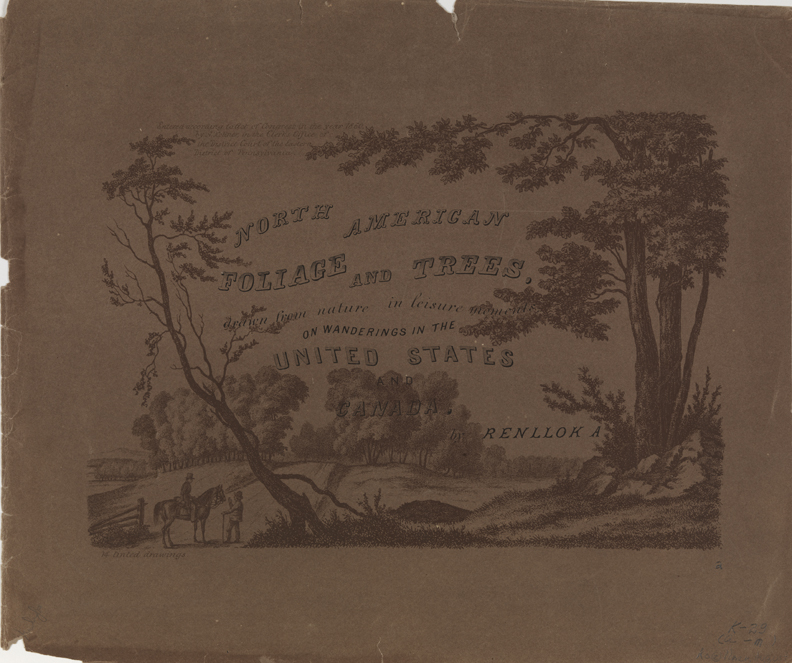 North American Foliage and Trees [title page]