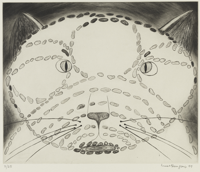 Louise Bourgeois Self Portrait Cat Pouch – artshop.