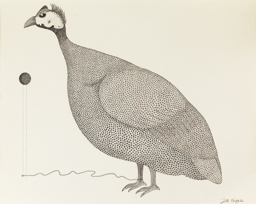 Guinea Hen: The Tragedy of Imcomplete Beauty