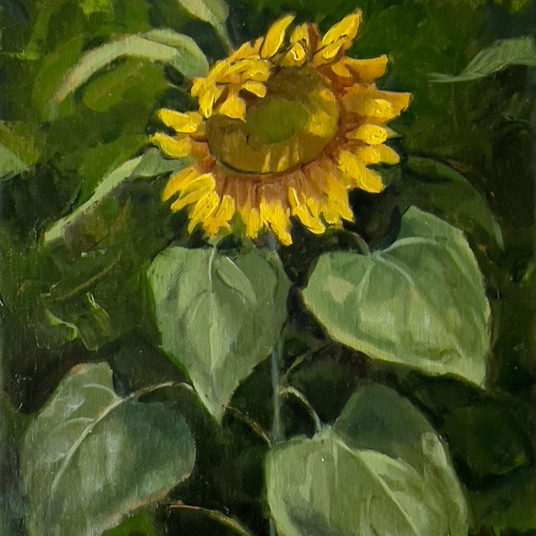 Sunflower by Nancy Bea Miller, 12 x 9 inches, oil on linen. A single yellow sunflower with slightly drooping petals, painted in an expressive, textured style.