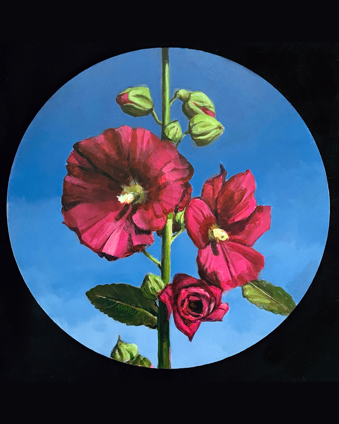 Monhegan Island Hollyhock by Nancy Bea Miller, 16-inch round, acrylic on canvas. A tall hollyhock with bright pink petals, inspired by the coastal landscape of Monhegan Island.
