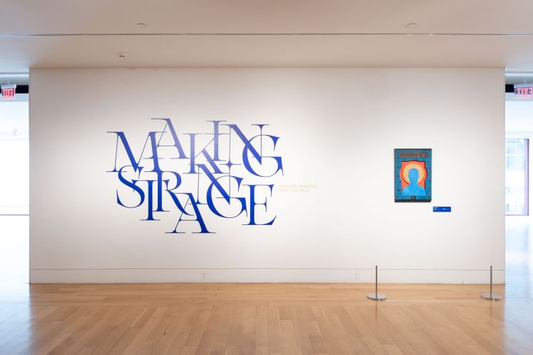 Installation view of the Making Strange wall label.